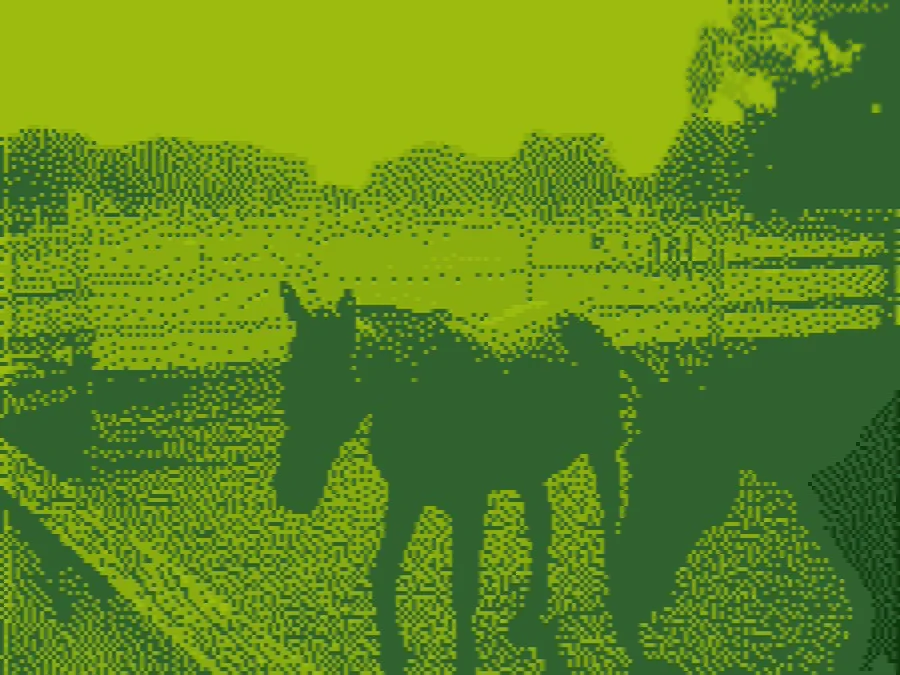 Horses in a paddock in Game Boy greens