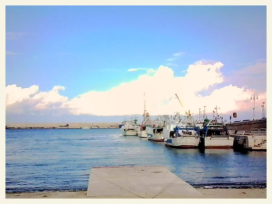 Fishing boats in a harbour, with a white border